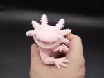 Axolotl Bis Smile MatMire Makes