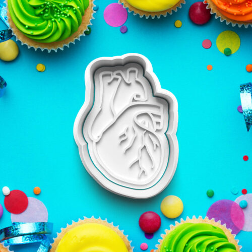 Orgány - Vykrajovátko s pečiatkou – Vykrajovačky – Zdravotníctvo a zdravie 3D vykrajovačka s pečiatkou