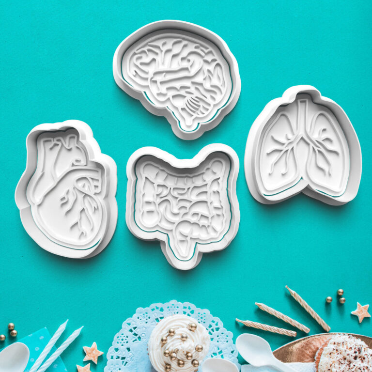 orgány   sada 4ks vykrajovačiek s pečiatkou – sady vykrajovačiek – zdravotníctvo a zdravie 3d vykrajovačka s pečiatkou